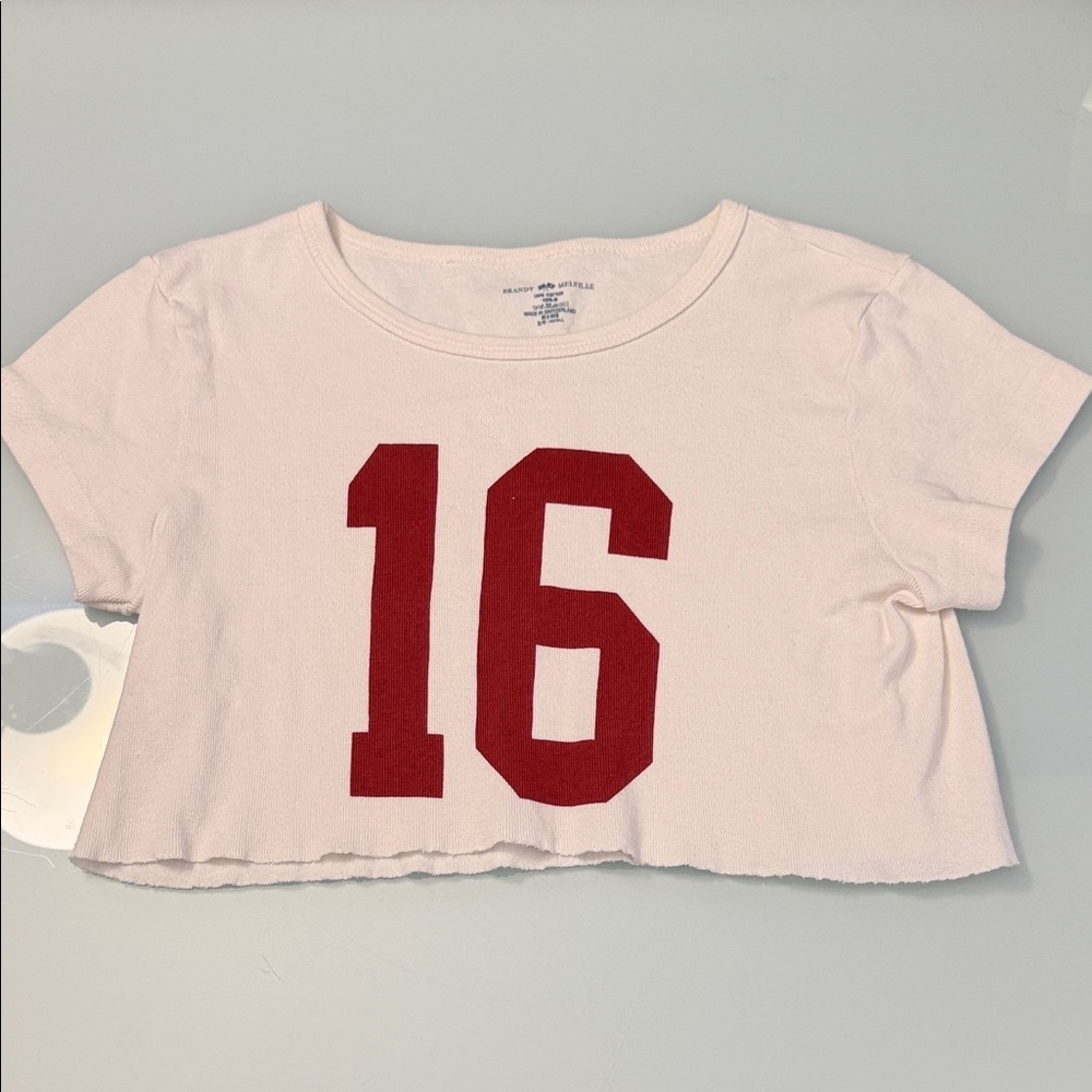 Brandy Melville Cropped Basic Tee